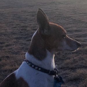 Meet your Posher, Joel